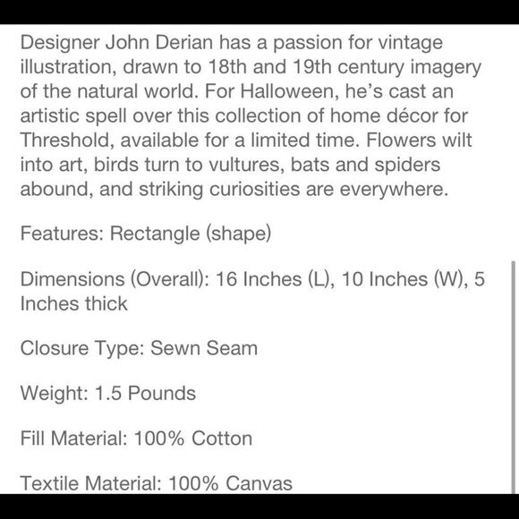 John Derian Barn Owl Pillow - Picture 5 of 5